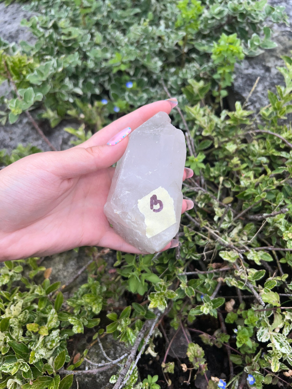 ŠPICE Křišťál konkrétní kus B