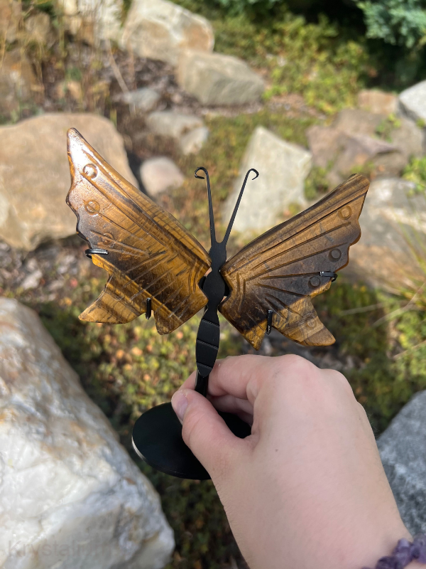 MOTÝLÍ KŘÍDLA Tygří oko konkrétní kus