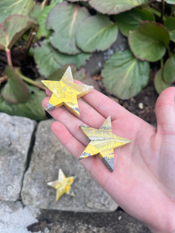 čmeláčí jaspis HVĚZDA Bumble bee jasper