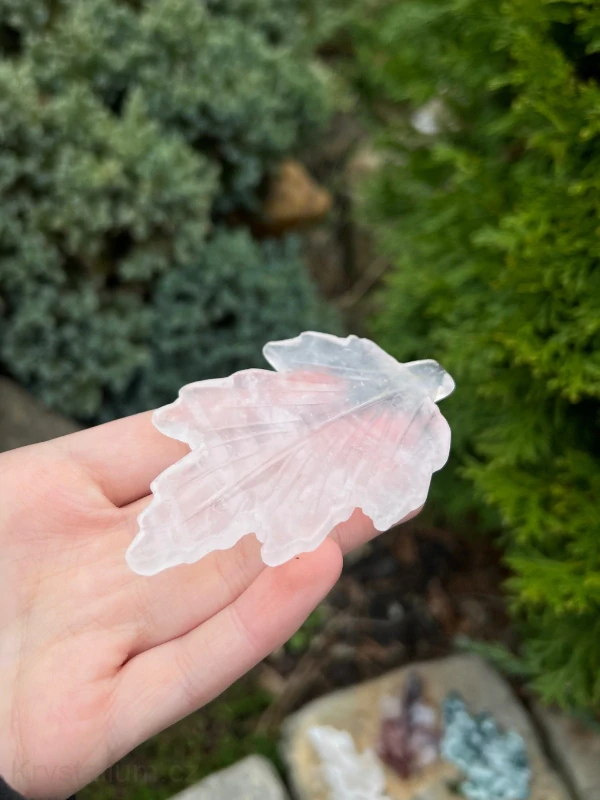 LIST růženín konkrétní kus  