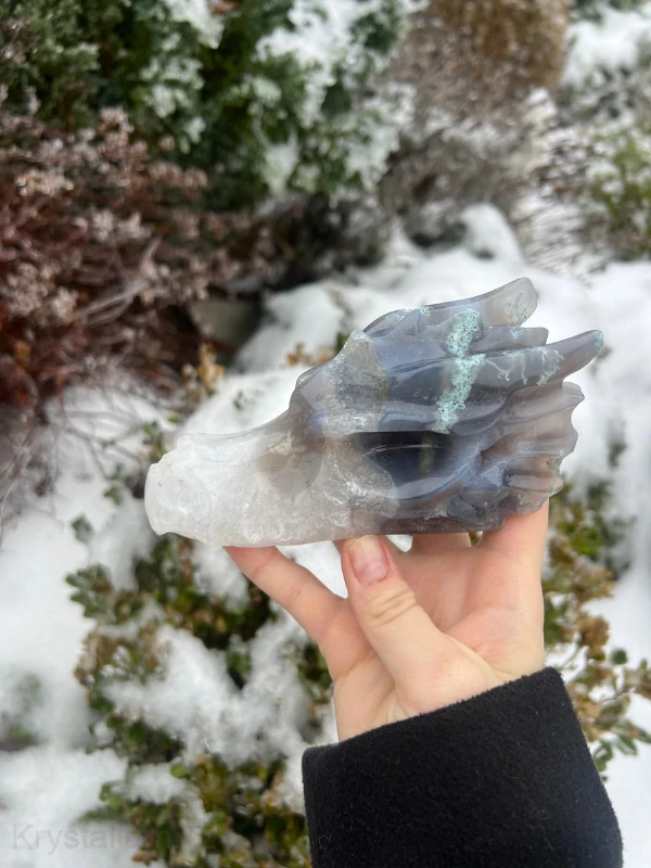 ACHÁT DRAK konkétní kus