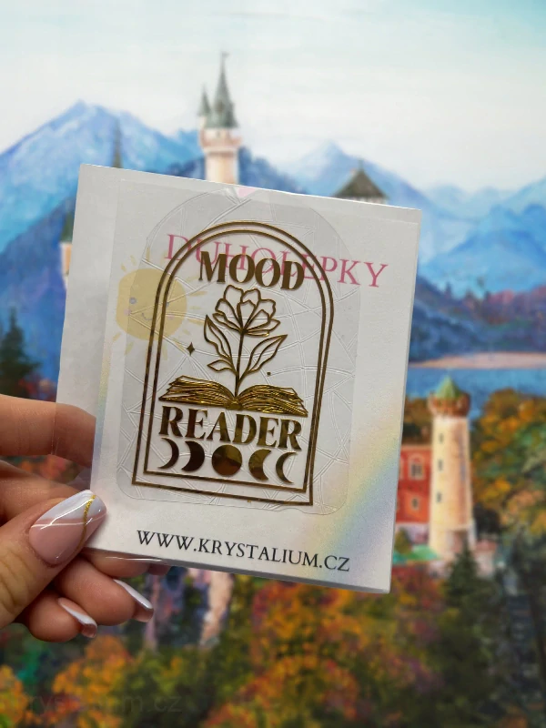 Duholepka MOOD READER