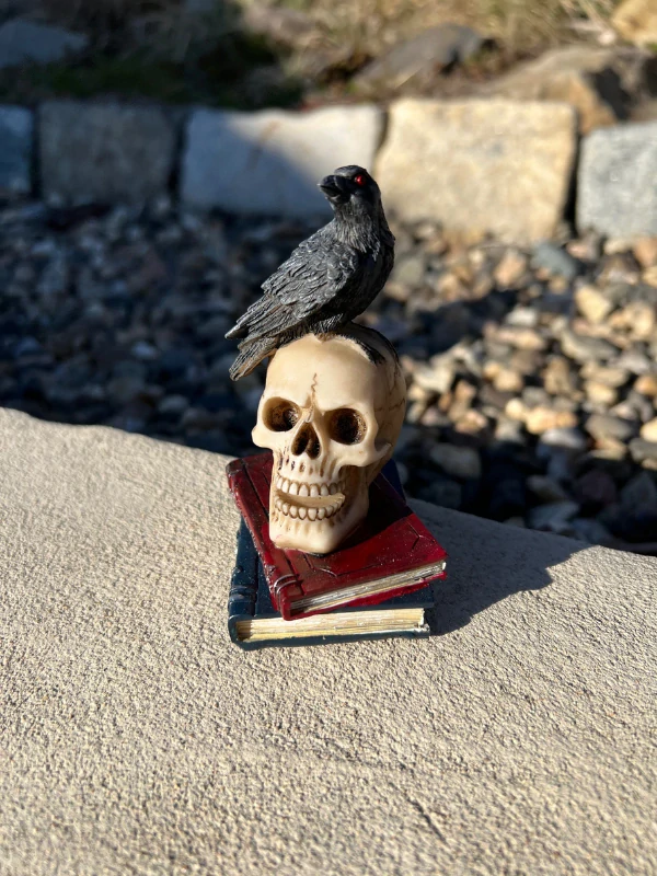 LEBKA VRÁNA KNIHY dekorace