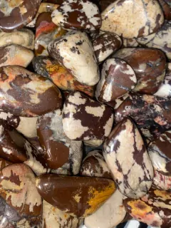 JASPIS zebra Tromlovaný 