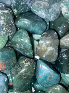 Heliotrop tromlovaný