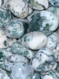 ACHÁT stromový tromlovaný 