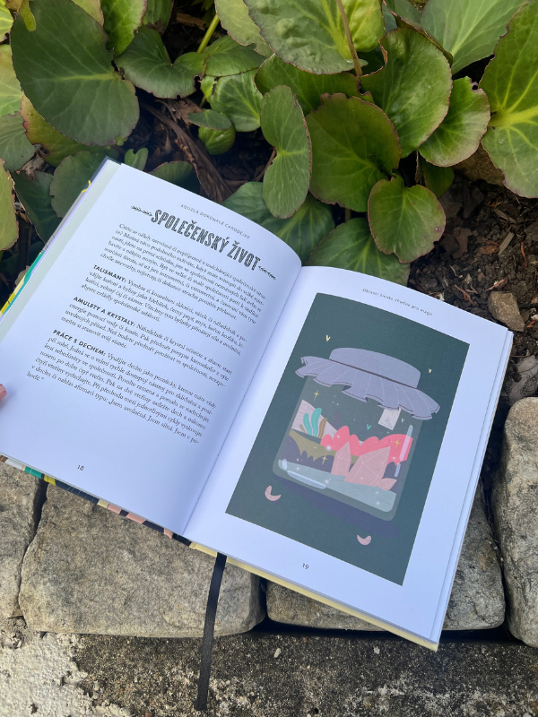 Knížka kouzla dokonalé čarodějky