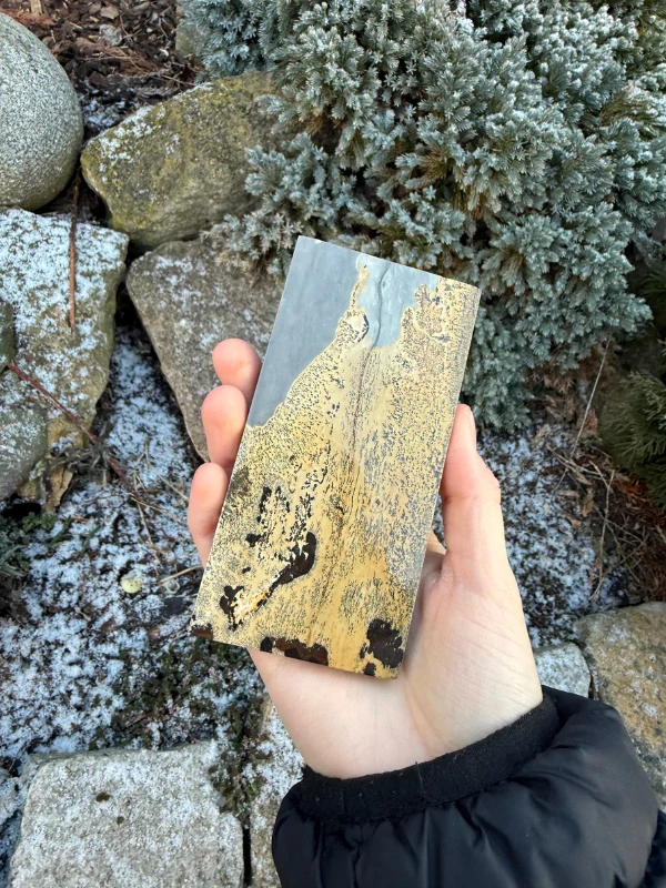 Japis plátek konrkétní kus