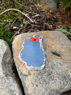 ANGELIT plát konkrétní kus E