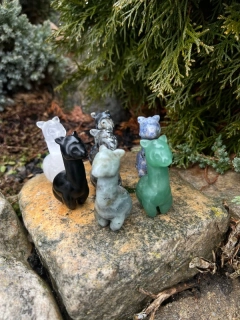 MYSTERY lama