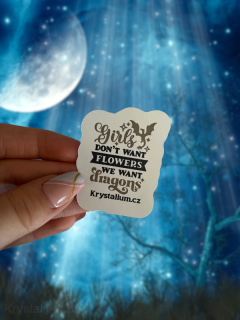 FANTASY Samolepka WE WANT DRAGONS