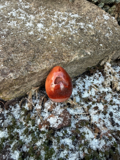 karneol VAJÍČKO konkrétní kus